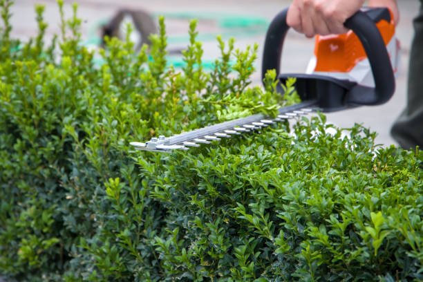 Lawn mowing services