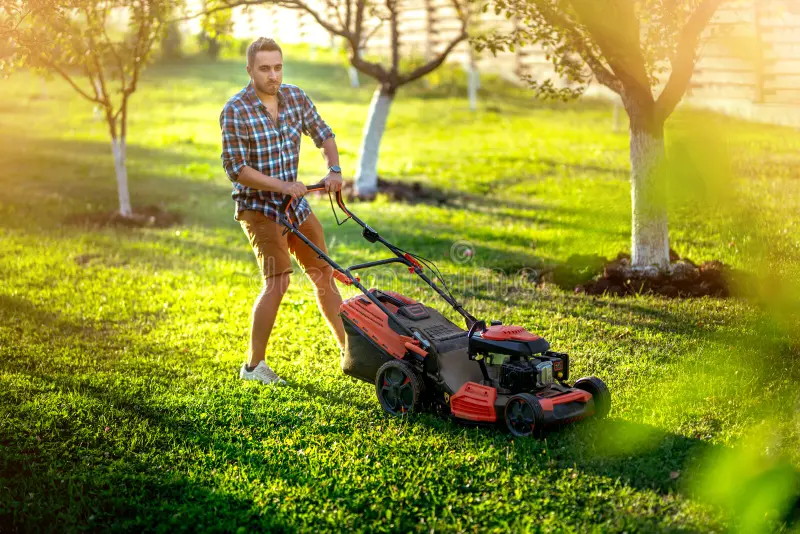 Lawn mowing services